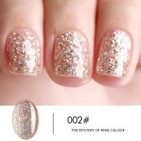 ราคา สีทาเล็บเจล สีกลิตเตอร์ กากเพชร งานแพง AS 15ml KC 01 06 เฉดสี (13283827593)