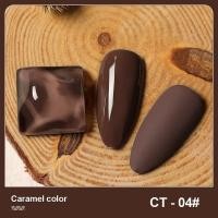 ราคา AS สีเจล สีทาเล็บ โทนสีน้ำตาลคาราเมล คมเข้ม 6 เฉดสี CT 01 06 15ml (13043113921)