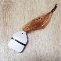 ราคา ป้ายเขียนชื่อพันธ์ไม้แบบมัดห้อย ป้ายพลาสติกเขียนชื่อต้นไม้ ป้ายห้อยกิ่งไม้ ป้ายแขวน ป้ายPVC จำนวน 100 ชิ้น (532932692)