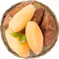 ราคา จัดส่งฟรี บัวหิมะ Yacon 1กิโลกรัม บัวหิมะ บัวหิมะสด บัวหิมะจากดอยอ่างขาง บัวหิมะปลอดสารพิษ บัวหิมะสดๆจากสวน บัวหิมะพร้อมทาน ผลไม้เมืองหนาว บัวหิมะ บัวหิมะสด หวานฉ่ำ เนื้อกรอบ เจ้าของสวนมาเอง สินค้าพร 