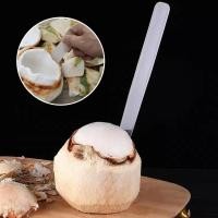 ราคา 2ชิ้นอุปกรณ์กำจัดกะลามะพร้าวมะพร้าวเครื่องเจาะมะพร้าวเครื่องขูดมะพร้าวกะลามะพร้าวกำจัดเนื้อมะพร้าว (19964170275)