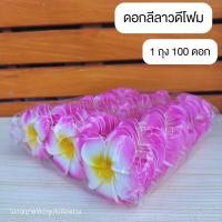 ราคา ดอกลีลาวดี โพม ดอกเปล่า ดอกลีลาวดีลอยน้ำ 1ถ่ง100ดอก (22478159952)