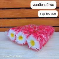 ราคา ดอกลีลาวดี โพม ดอกเปล่า ดอกลีลาวดีลอยน้ำ 1ถ่ง100ดอก (22478159954)
