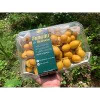 ราคา อินทผาลัมสด อินทผลัม พันธุ์บาฮี หวาน กรอบ (9341299684)