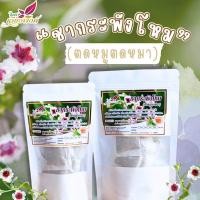 ราคา ชากระพังโหม ตดหมูตดหมา ชาสมุนไพรพร้อมชง ใช้วัตถุดิบจากธรรมชาติ (22871817212)
