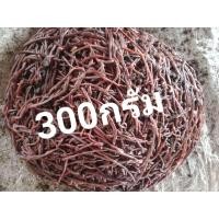 ราคา ไส้เดือนaf300กรัมไส้เดือนตกปลา (22940052363)