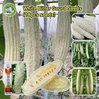 ราคา สินค้าดี มีคุณภาพ เมล็ดพันธุ์ มะระขี้นก สีขาว White Bitter Gourd Seeds Organic Vegetable Seeds for Planting เมล็ดพันธุ์มะระจีน เมล็ดมะระ ผักออร์แกนิก F1 เมล็ดพันธุ์ผัก บอนไซ พันธุ์ผัก เมล็ดผัก เมล็ดพั