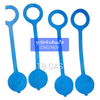 ราคา จุกอุดหัวเติมแก๊สรถยนต์ CNG LPG (21507677372)