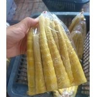 ราคา หน่อไม้อัดถุง เผา พร้อมส่ง ถุงละ 400 500 กรัม หน่อไม้สดๆจากเขาชัยภูมิ ขึ้นเองตามธรรมชาติ1 ปี จะได้กินครั้งหนึ่งคะ (22758180887)