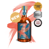 ราคา DOLCE SPRITZ alcohol free Aperol Alternative 500ml REBELS 0 0 (21087707394)