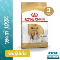 ราคา หมดอายุ8 25 Royal canin Beagle Adult 3 Kg อาหารสุนัขโตพันธุ์บีเกิ้ล (17448843105)