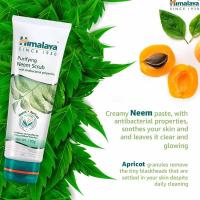 ราคา สครับผิวหน้า จากสะเดาอินเดียและแอปพริคอต Himalaya Herbals Purifying Neem Scrub 100G (17279347180)