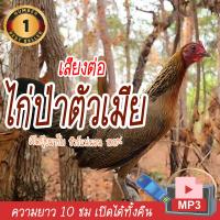 ราคา TJ Shop เสียงต่อไก่ป่าตัวเมีย แฟลชไดร์ฟ USB ต่อไก่ป่าตัวเมีย เสียงดังฟังชัด เสียงนกแท้ เสียงดังฟังชัด100 เข้าง่ายติดง่าย (21086389076)