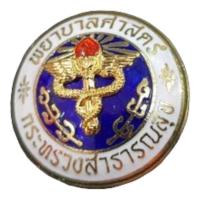 ราคา เข็ม เข็มกลัด พยาบาล พยาบาลศาสตร์ (20909348065)