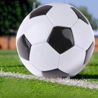 ราคา SportySummit ลูกฟุตบอลเด็ก1ชิ้นลูกพีวีซีขนาด2ลูกบอลเทรนนิ่งสีดำและสีขาวแบบคลาสสิก (22511937411)