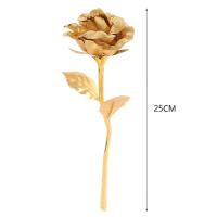 ราคา ฟอยล์ทองคำ24K ชุบดอกกุหลาบปลอมตลอดไปรักวันวาเลนไทน์ของขวัญวันเกิดเด็กหญิงดอกไม้ปลอมของตกแต่งงานแต่งงาน (22816366517)