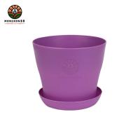 ราคา กระถางต้นไม้ ขนาด 4นิ้ว พร้อมจานรอง กระถางพลาสติก สีสันสดใส กระถางแคตตัส กระถาง กระถางกลม กระถางปลูกต้นไม้ กระถางต้นไม้พร้อมจานรอง (19980774861)