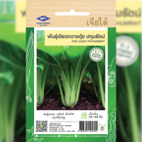 ราคา เมล็ดพันธุ์ เขียวกวางตุ้ง ปทุมรัตน์ ตราเจียไต๋ (19722997507)