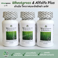 ราคา 3 กระปุก ผักเม็ด Wheatgrass Alfalfa Plus แอมสตรอง อาหารเสริม เพื่อสุขภาพ สูตรดั้งเดิม แอมสตรอง AMSTRONG (1867448843)