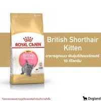 ราคา กระสอบ Royal Canin Cat อาหาร แมว 10 กิโล (22647464013)
