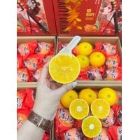 ราคา ส้มเอฮิเมะ ญี่ปุ่น ยกลัง 8 12ลูก เนื้อเยลลี่ไร้เมล็ด หวานฉ่ำหอม (22975007607)