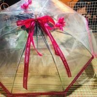 ราคา ร่มใส่แบงค์ได้100ใบ (17161823069)