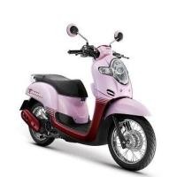 ราคา แท้100 ฝาครอบตัวล่าง ฝาครอบล่าง ฝาครอบ scoopy i ปี2018 เบิกศูนย์ HONDA เฟรม เฟรมscoopy รถ เปลือกรถ ชุดสีscoopy H080 (8052001877)