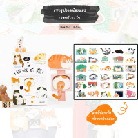 ราคา รวมเซทโปสการ์ดแต่งห้อง Postcard น่ารักสำหรับเขียนส่งให้เพื่อน โปสการ์ดลายการ์ตูน โปสการ์ดลายดอกไม้ การ์ดแต่งห้อง (13986286019)