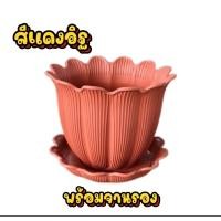 ราคา กระถางพลาสติก ทรงดอกไม้ พร้อมจานรอง มีให้เลือกหลายสี พร้อมส่ง (22546775404)