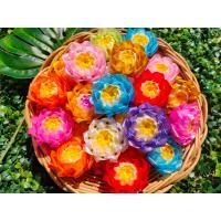 ราคา เหรียญโปรยทาน ตัวเปล่า10ชิ้น โปรยทานงานบวช โปรยทานสำเร็จรูป (19070816278)