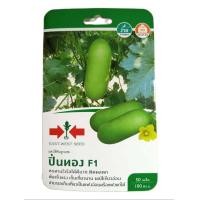 ราคา แฟงไส้ตันลูกผสม ปิ่นทอง SD F1 102 ผักซอง ศรแดง F1 เมล็ดพันธุ์ แฟง เมล็ดพันธุ์ลูกผสม เมล็ดพันธุ์ผัก ผักสวนครัว ผักศรแดง (20108995598)