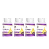ราคา Benja Oil เบญจออยล์ ไอ พลัส เบอร์รี่ ผลิตภัณฑ์อาหารเสริมบำรุงสายตา ขนาด 30 แคปซูล 4 กระปุก (21037818282)