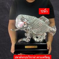 ราคา ปลา ปลามังกร ปลาอโรวาน่า ปลามังกรหัวโค้ง คาบเหรียญ นำโชคเรียกทรัพย์ เสริมโชคมงล พร้อมส่ง (16320725279)