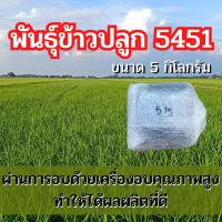ราคา พันธุ์ข้าวปลูก 5451 ข้าวปลูก 5451 เมล็ดพันธุ์ข้าว 5451 5กิโลกรัม (22573048246)