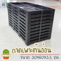 ราคา ถาดเพาะต้นอ่อน ถาดเพาะต้นกล้า ชุด 10 ใบ ไม่เจาะรู ชนิดทึบ เลือกได้ ถาดเพาะข้าว ถาดเพาะกล้า (8281460317)