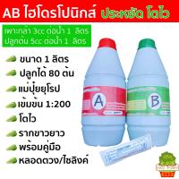 ราคา สารละลาย AB ไฮโดรโปนิกส์ ขนาด 1ลิตร500ml 250ml ธาตุอาหาร น้ำ ผักไฮโดร Hydroponics ผักสลัด ผักไทย ผักจีน ปลูกพืชไร้ดิน ปลูกผักไฮโดร ปุ๋ย (22542878734)