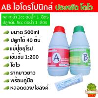 ราคา สารละลาย AB ไฮโดรโปนิกส์ ขนาด 1ลิตร500ml 250ml ธาตุอาหาร น้ำ ผักไฮโดร Hydroponics ผักสลัด ผักไทย ผักจีน ปลูกพืชไร้ดิน ปลูกผักไฮโดร ปุ๋ย (22622388154)