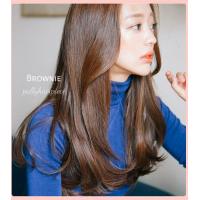 ราคา แฮร์พีช hairpiece งุ้มปลาย รุ่น Brownie (19746227093)