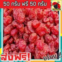 ราคา ส่งฟรี ซื้อ 1 แถม 1 ขนาด 500 กรัม สตอเบอรี่อบแห้ง กินเจ ไม่มีน้ำตาล Dried Strawberry สตรอเบอรี่ มีให้เลือก 500 ฟรี 100 กรัม 50 ฟรี 50กรัม สตรอเบอร์รี่ สตรอเบอรี่อบแห้ง สตรอเบอร์รี่อบแห้ง ผลไม้อบแห้ง (