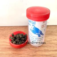 ราคา ชวาวงศ์ นกเขาชวา นกเขาเล็ก นกพิราบ นกเขาใหญ่ (22879297057)