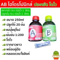 ราคา สารละลาย AB ไฮโดรโปนิกส์ ขนาด 1ลิตร500ml 250ml ธาตุอาหาร น้ำ ผักไฮโดร Hydroponics ผักสลัด ผักไทย ผักจีน ปลูกพืชไร้ดิน ปลูกผักไฮโดร ปุ๋ย (22542878736)