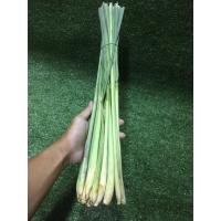 ราคา สดจากไร่ ตะไคร้สด ตะไค้ ตะไคล้ ผักผลไม้ ราคาถูก ราคาส่ง (21021755226)