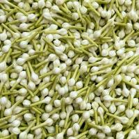 ราคา ถูกที่สุด ดอกพุดร้อยตาข่าย1000ดอก ดอกพุดจีบพลาสติก ดอกพุดดินปั้น พานขันกมากมาลัย กระทง งานฝีมือ (22848569346)