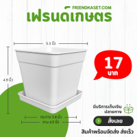 ราคา กระถางแคคตัส กระถางสี่เหลี่ยม พร้อมจานรอง 5 5 3 นิ้ว สีขาว Bundle 12 ใบ ชิ้น อัน (22728991716)