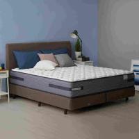 ราคา SB Design Square ที่นอน Sealy รุ่น Monde ขนาด 6 ฟุต พร้อมรับชุดเครื่องนอน Natural Blue หมอนหนุน หมอนข้าง และผ้ารองกันเปื้อน (23099840383)