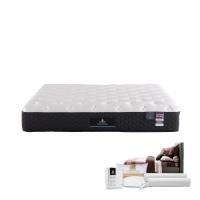 ราคา SB Design Square ที่นอน Dunlopillo รุ่น Frostburg ขนาด 6 ฟุต พร้อมของสมนาคุณ 11 ชิ้น (23260554918)