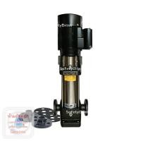 ราคา SafetyDrink ปั๊ม Multistage แนวตั้ง DOSAG VCP 2 15 220V 2 HP 1 5 kW (22436424751)