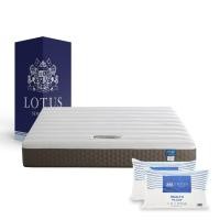 Lotus ที่นอน ขนาด 5 ฟุต รุ่น Spring Free III
