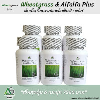 ราคา ผักเม็ด Wheatgrass Alfalfa Plus ผลิตภัณฑ์อาหารเสริม แอมสตรอง วีทกราส อัลฟัลฟ่า ผักอัดเม็ด สกัดเย็น สูตรดั้งเดิม 6 กระปุก ส่งฟรี (15110929895)