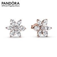 ราคา Pandora Flower 14k Rose gold plated unique metal blend stud earrings with clear cubic zirconia เครื่องประดับ ต่างหู ต่างหูโรสโกลด์ ต่างหูสีโรสโกลด์ โรสโกลด์ ต่างหูแพนดอร่า (16629442009)